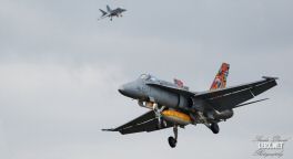 FA-18 Espagnol 0004  LERX NET.jpg
